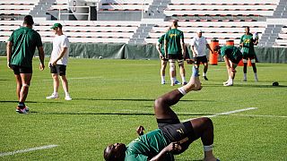 Coupe du monde de rugby : l'Afrique du Sud prête à affronter les Tonga