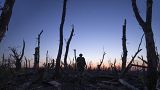 Украинские военнослужащие проходят через обугленный лес на линии фронта к югу от Бахмута, 16 сентября 2023 года.