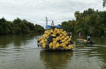 В венгерских реках ловят тонны пластикового мусора — он плывёт из Украины