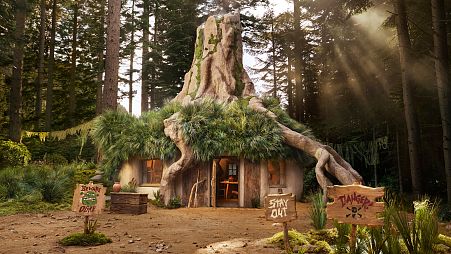Home sweet home: Up to three guests will get the chance to spend two nights in Shrek's swampy abode.