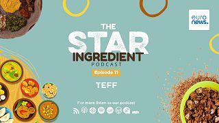 The Star Ingredient. Episode 11. 