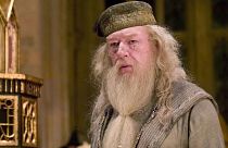 Dumbledore-Darsteller Michael Gambon ist gestorben.