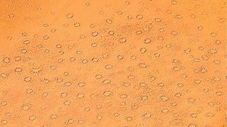 تصویر هوایی از حلقه‌های اسرارآمیز صحرای نامیب در نامیبیا