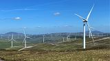 Успехи Ирландии в области ветроэнергетики свидетельствуют о возможностях страны по декарбонизации. 