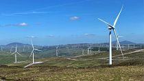 Ireland's wind power success shows the potential for the country to decarbonise. 