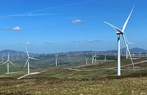 Windenergie in Irland mit Erfolgen