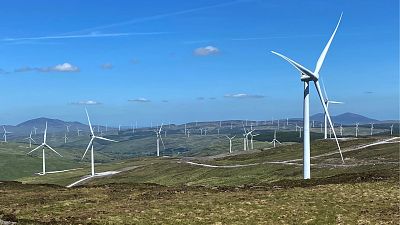 El éxito de la energía eólica en Irlanda demuestra el potencial de descarbonización del país. 
