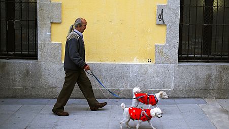 Hilario Gutierrez Fernandez walks his dogs in Madrid, Spain, Monday, Nov. 4, 2013. 