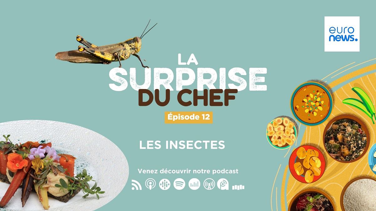 Podcast : les insectes comestibles sont-ils notre avenir