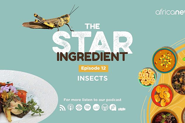 Podcast| Are edible insects the food of the future?