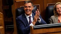 Acting Prime Minister Pedro Sanchez applauds at the Spanish parliament's lower house in Madrid