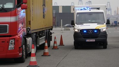 Suche nach Drogen mit Hilfe eines mobilen Scanners im Hafen von Antwerpen