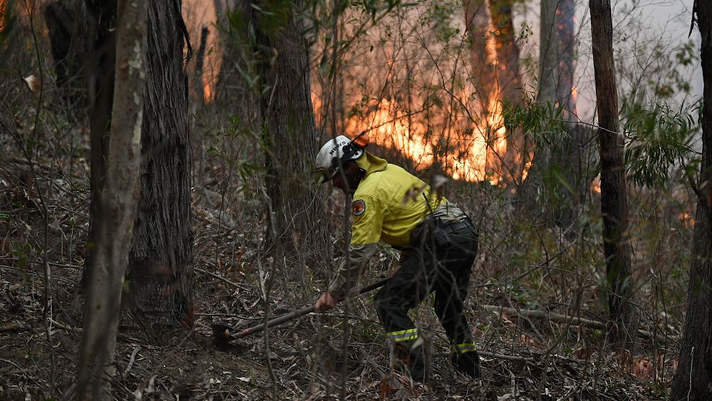 A fire ban has been issued in the Australian state of New South Wales