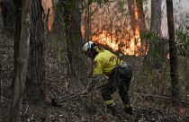 Tűzoltó dolgozik a lángok megfékezésén az Új-Dél-Wales államban fekvő Ulladulla közelében pusztító bozóttűz helyszínén 2020. január 5-én – képünk illusztráció 