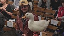 В праздник святого Франциска благословляют домашних питомцев - животных и птиц