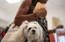A woman carries her pet in a bag as she votes at a polling station in Madrid, Spain, July 23, 2023. 