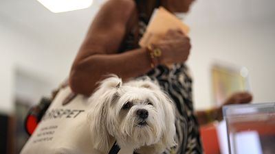 A woman carries her pet in a bag as she votes at a polling station in Madrid, Spain, July 23, 2023. 