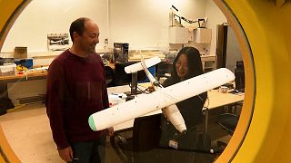  Изображение демонстрира откриватели от Делфтския университет в Холандия, показващи своя първообраз на дрон, който пести сила, като имитира полета на птици. 