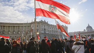 Menschen nehmen an einer Demonstration gegen die Coronavirus-Beschränkungen des Landes in Wien, Österreich, 8\. Januar 2022, teil. 