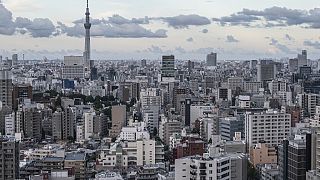 Tokyo'nun yukarıdan görüntüsü (arşiv)