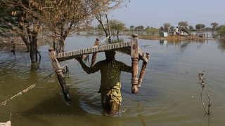 Victims of heavy flooding from monsoon rains carry relief aid through flood water in the Qambar Shahdadkot district of Sindh Province, Pakistan, September, 2022. 