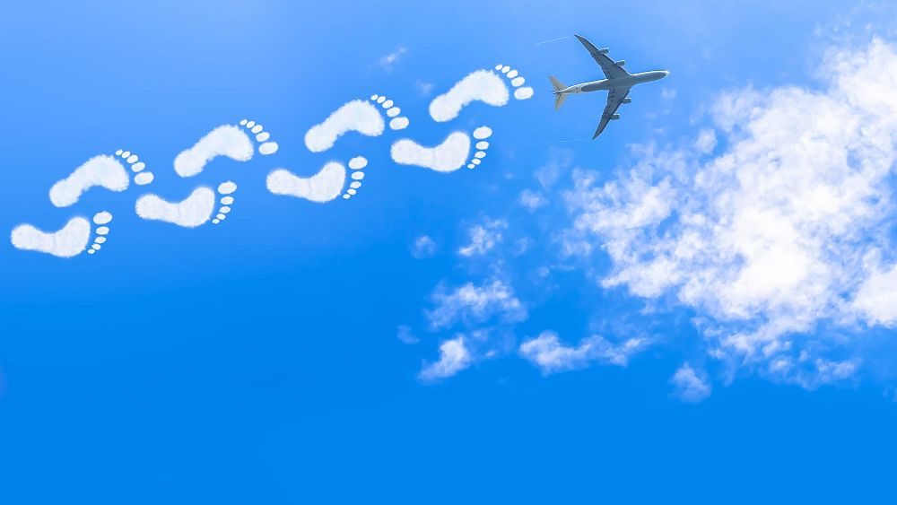 Летенето скоро може да бъде ограничено от лични въглеродни квоти