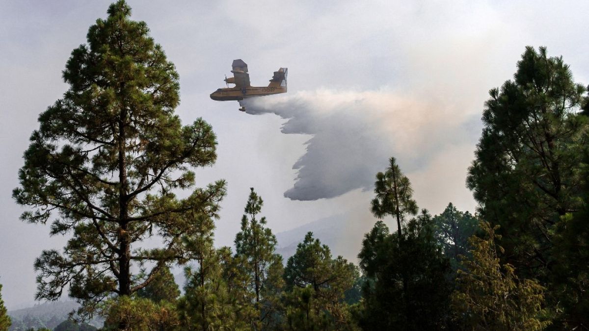 طائرة أثناء محلولات إخماد الحرائق على التلال في جزيرة تينيريفي، إسبانيا، الخميس 5 أكتوبر 2023.