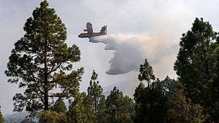 طائرة أثناء محلولات إخماد الحرائق على التلال في جزيرة تينيريفي، إسبانيا، الخميس 5 أكتوبر 2023.