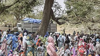 Tchad : "urgence humanitaire majeure" pour les réfugiés soudanais