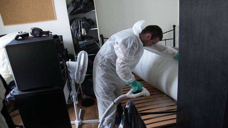 ماذا يختبئ في سريرك؟ رحلة داخل عالم الكائنات الدقيقة التي ترافقك أثناء النوم 