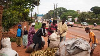 Ugandans turning banana wastes into useful fibres