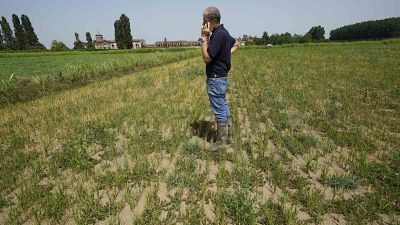 In June Italy faced its worst drought in 70 years. The rice paddies of the river Po valley ran dry, jeopardizing the harvest of the premium rice used for risotto.