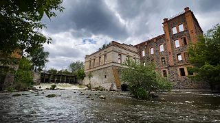 Europas Flüsse renaturieren: Menschen und Natur haben viel zu gewinnen