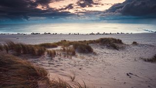  Зилт е най-големият от немските севернофризийски острови, които се намират в Северно море край крайбрежието на Шлезвиг-Холщайн. 