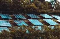 Sunny Albania is boosting its supply of solar energy with almost 235,000 new solar panels at the Karavasta power station on the edge of the Karavasta lagoon national park. 