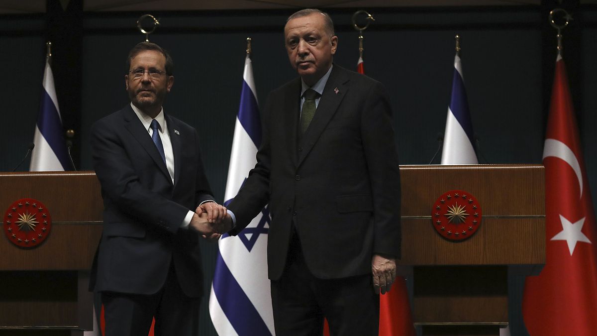 Erdoğan-Herzog görüşmesi - Ankara (Arşiv)
