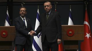 Erdoğan-Herzog görüşmesi - Ankara (Arşiv)
