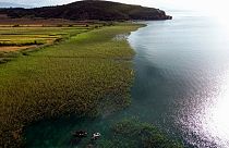 Ufer des Ohrid-Sees an der Grenze zwischen Albanien und Nordmazedonien.