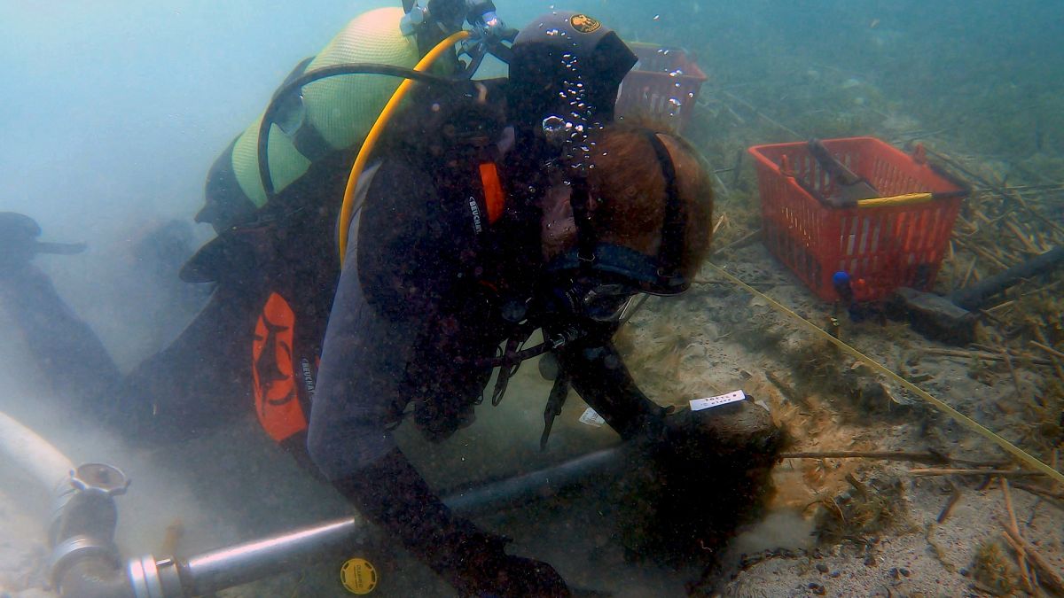 Archaeologists find remains of oldest lakeside settlement in Europe ...