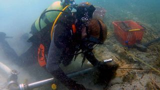 A diver searching for archaeological material. 