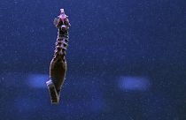 File -Seahorses, a species identified with Mar Piccolo, Taranto, Italy