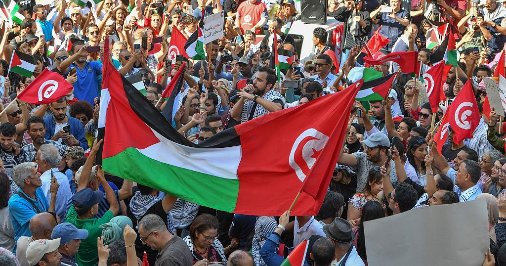 Tunisia: rally in solidarity with the Palestinians in Tunis