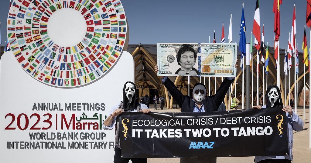 La Banque mondiale et le FMI, "pire arnaque du siècle", accusent des ONG