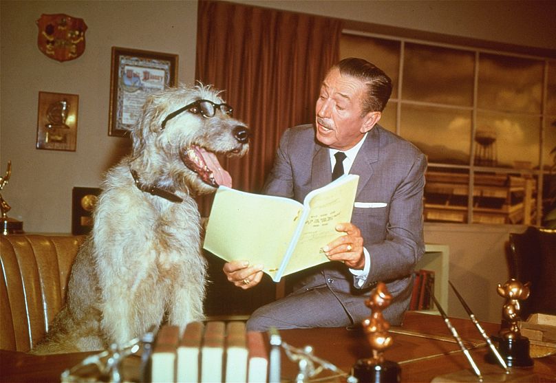 Walt Disney in his office on December 23, 1965, pretending to read a script with a dog.