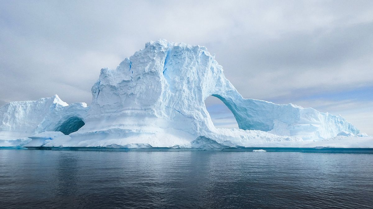 Ice shelves are floating platforms of ice that surround the Antarctic continent, helping to protect and stabilise the region's glaciers by slowing their flow into the ocean.