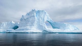  Ледените шелфове са плаващи платформи от лед, които обкръжават антарктическия континент, като оказват помощ за отбраната и стабилизирането на ледниците в района, като забавят потока им в океана. 