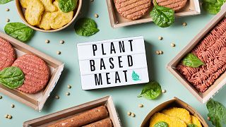 French plant-based pioneer Umiami raises €32.5 million, amidst niche market realities.