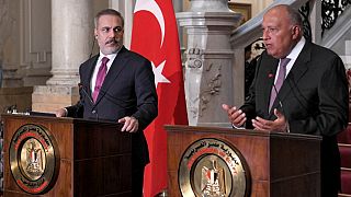 Egyptian FM hosts Turkish counterpart to discuss Israel-Hamas war