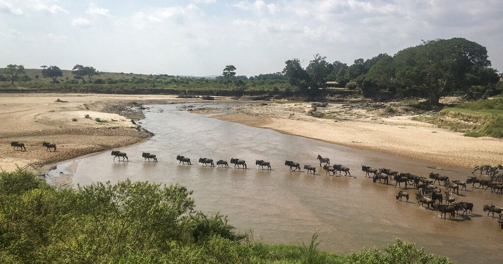 Serengeti wins top park in Africa for fifth time in a row