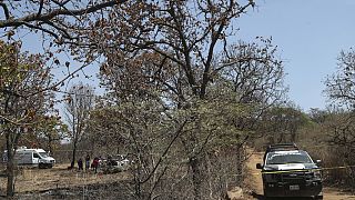 Forensic Medical Service experts work in the area where the group of Madres Buscadoras de Jalisco, searching for missing persons, found several sets of human remains